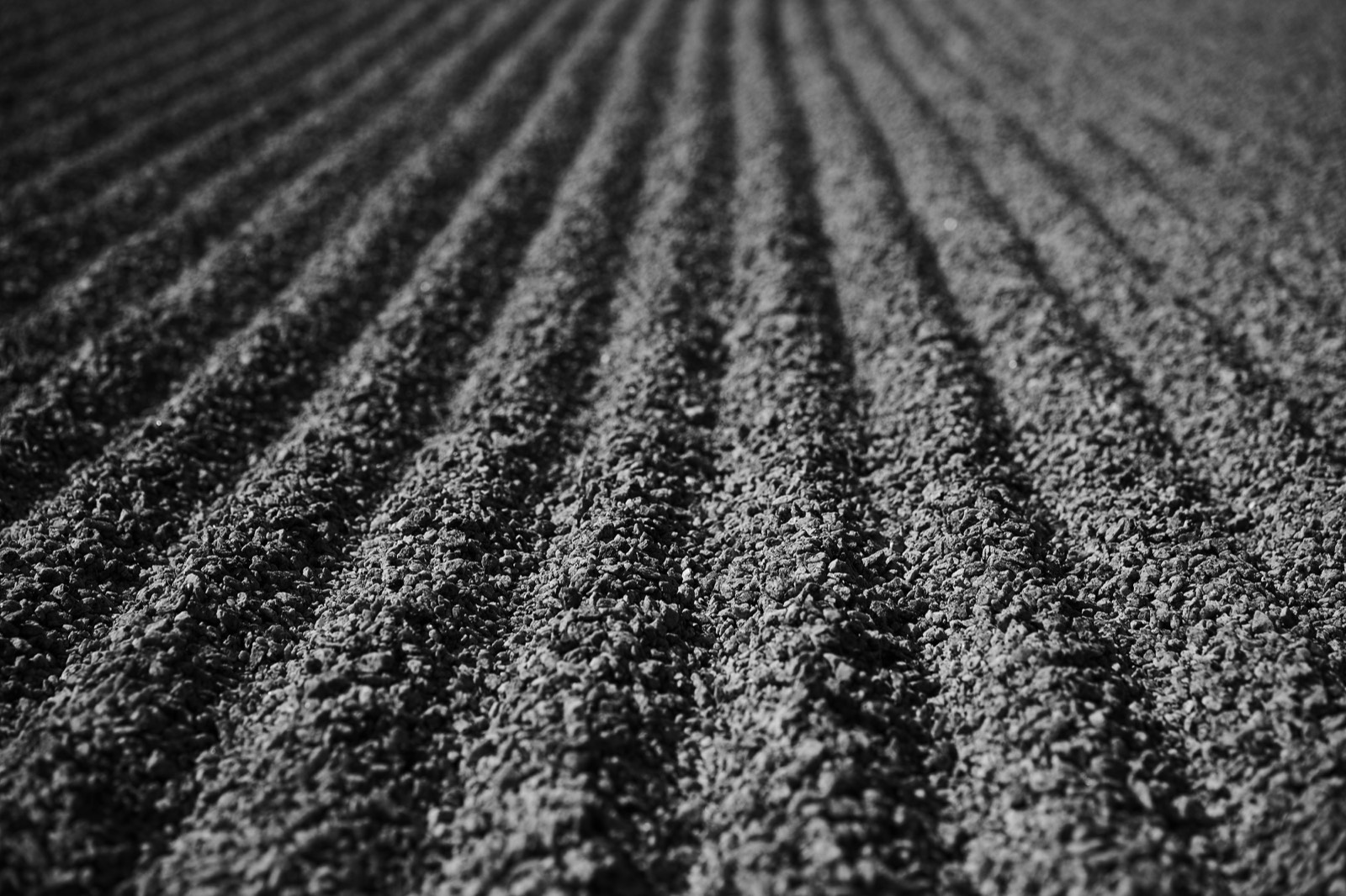 Stacks Image 2634