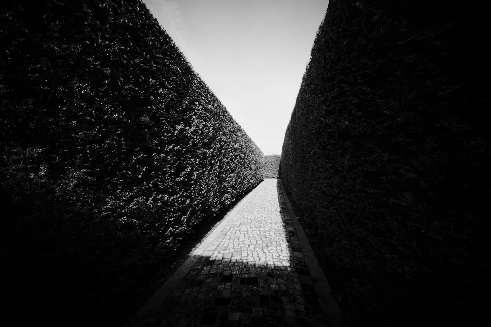 Stacks Image 2779