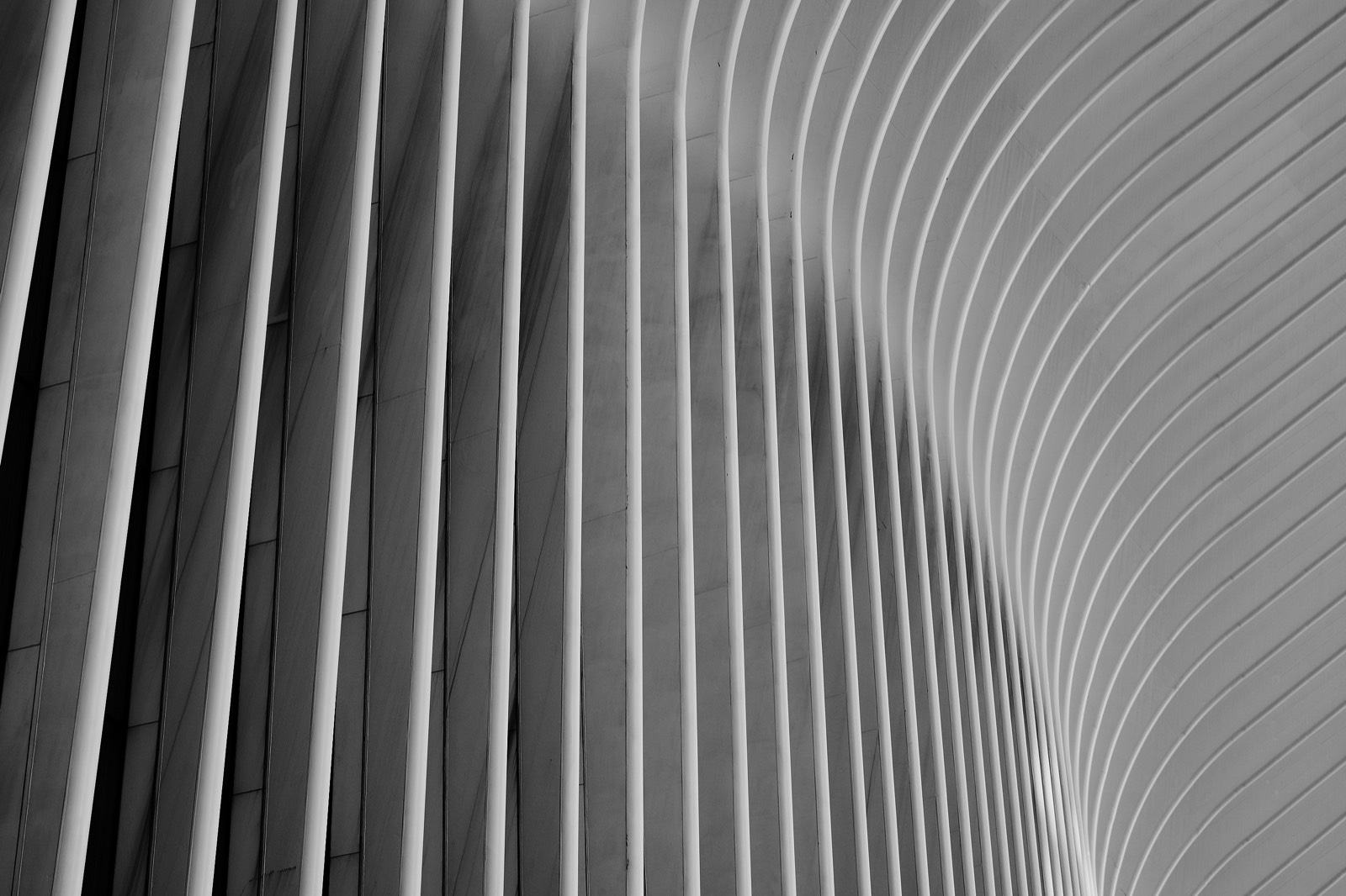 Stacks Image 3482